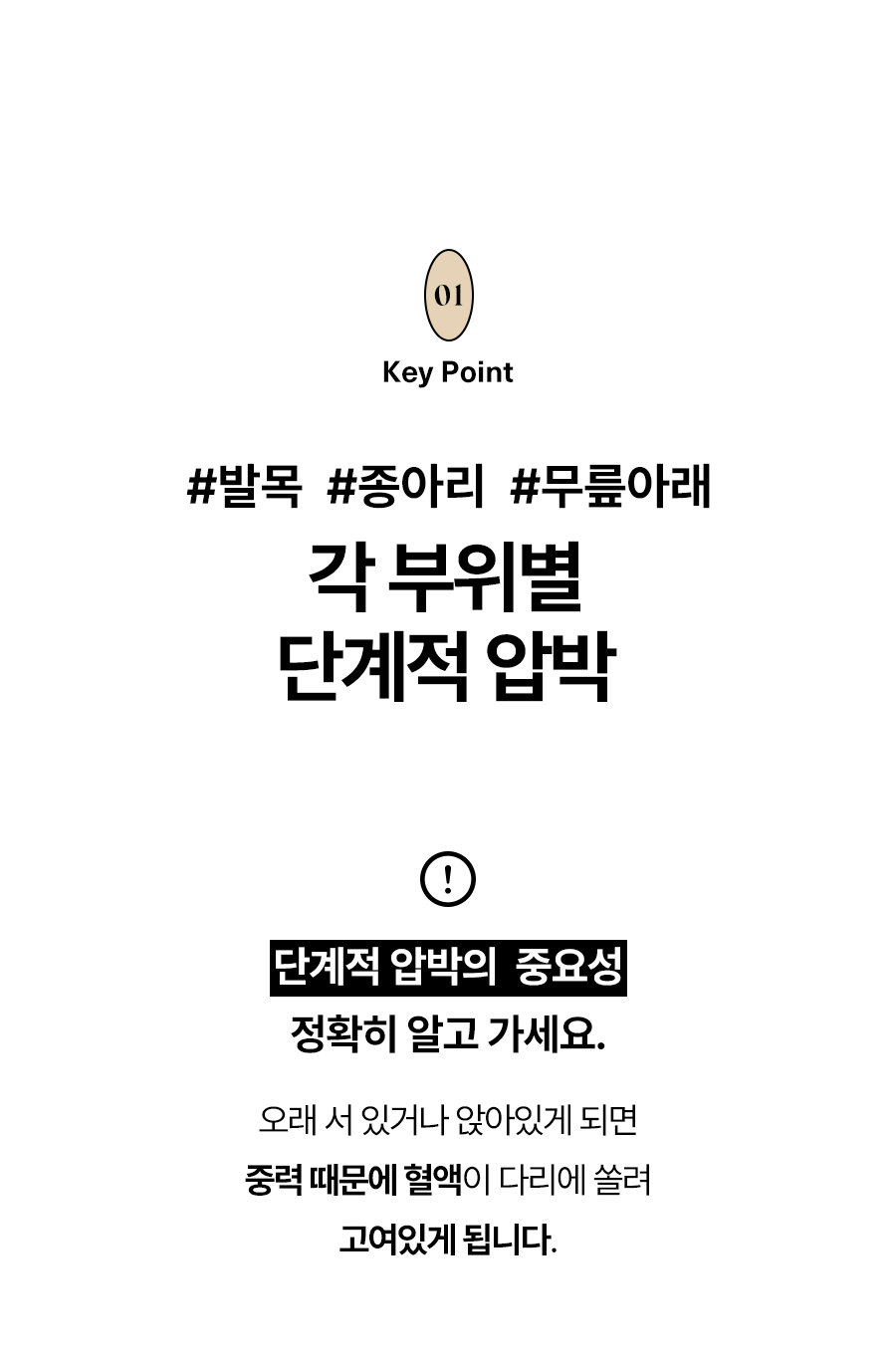 상품상세 안내